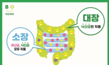 일동제약 ‘비오비타’, 15일 네이버 쇼핑LIVE서 방송 진행