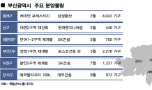 올해 부산서 2만5,000가구 봇물…10년만 최대 물량