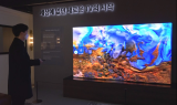 삼성·LG, 작년 세계 TV 매출 절반 ‘싹쓸이’