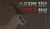 [SEN 버킷셀러] 내 인생은 어디로 가고 있는가?