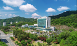 ﻿원주시, 도시 바람길숲 가로수 조성 사업 추진