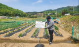 용인시, 관내 도로 국·공유재산 4만 9,408필지 실태조사