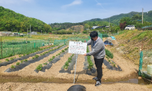 용인시, 관내 도로 국·공유재산 4만 9,408필지 실태조사