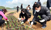 용인시, 기흥호수 물빛정원 조성…