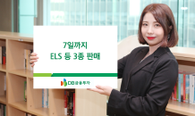 DB금투, 7일까지 ELS 등 3종판매