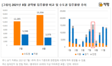 전세난에 ‘단비’ 될까…물량의 80% 수도권