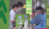 보험사CEO
