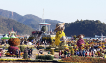 창원시, 마산국화축제 성황... 관람 기간 3일 연장