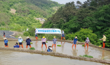 함양군, 마천 도마 ‘다랑이논 복원사업’ 도비 5억원 확보