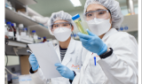 SK바사·국제백신연구소 개발 장티푸스 백신, 국제저널 게재