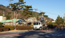 사천시, 쾌적한 가로경관 조성을 위한 주요 도로변 가로수 정비 나선다