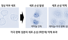 LG생활건강, 레티놀 피부자극 완화 성분 개발…