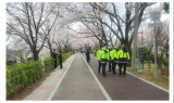 부산 삼락공원 벚꽃길 주말 2만5,000명 방문 예상…경찰, 특별순찰 나서