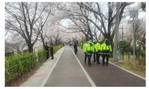 부산 삼락공원 벚꽃길 주말 2만5,000명 방문 예상…경찰, 특별순찰 나서