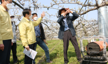 정찬균 나주시장 권한대행 배 과수원 점검