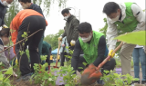 LH, 산불 피해 창녕군에 '탄소상쇄 숲' 조성