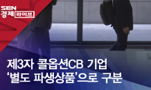 제3자 콜옵션CB 기업 ‘별도 파생상품’으로 구분