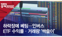 하락장에 베팅…인버스 ETF 수익률·거래량 ‘싹쓸이’