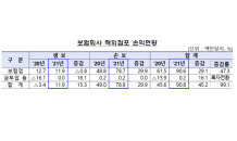 지난해 보험사 해외점포 순익 9,080만달러…2배 성장