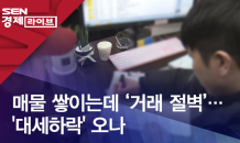 매물 쌓이는데 '거래 절벽'…'대세하락' 오나