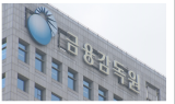 금감원 