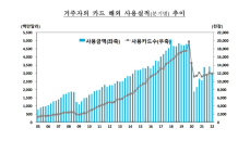 코로나 재확산에 ‘직구’도 줄여…해외카드 사용 10%↓