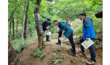 북부산림청, 경기 북부권 방제사업지(경기 고양시) 현장 점검 실시…돌발해충(대벌레) 피해 최소화