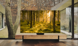 “최고수준 화질”…삼성 Neo QLED 8K, 영국서 호평 잇따라
