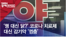 '꿩 대신 닭?' 코로나 치료제 대신 감기약 '껑충'