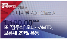 또 ‘밈주식’ 오나…AMTD, 보름새 2만% 폭등