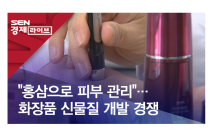 “홍삼으로 피부 관리”…화장품 신물질 개발 경쟁