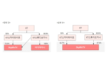 SkylifeTV-미디어지니 합병…