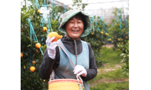 혼디귤농부, 강소농 경진대회 '우수상' 수상