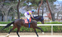 ‘혈통 금수저’ 말들의 1,400m 1등급 경주 열린다