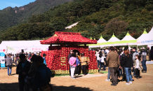 경북도, 10월 가을축제 풍성