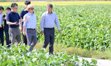 이철우 경북도지사, “휴일도 없네”···농촌들녘 현장 소통