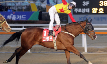 한국마사회, 한국경마 100년 기념 ‘10대 명마 가상경주’ 시행