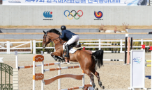 국내 최대 규모 '한국마사회장배' 전국 승마대회 개최