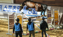 한국마사회, 제주서 ‘어린말 승마대회’·‘승용마 품평회’ 성료