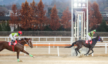 한국마사회 “라온퍼스트, 제18회 대통령배 우승”