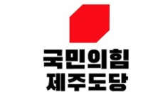 '제주특별법 개정안' 국회 소위 통과에, 국힘 