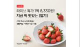 컬리, 설향 등 제철 딸기 4종 라이브방송 진행…30% 할인 판매