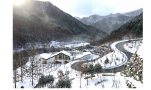 ﻿강원랜드 산림힐링재단, 산림청 유공 포상 수여