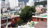 부산 시내 22곳에 도시숲이 조성 된다