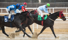 브라질 출신 안토니오 기수, 한국경마 데뷔 6년만 '300승' 달성