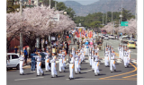 창원특례시, 진해군항제 동북아 대표축제로 성장시킨다