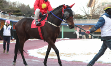 “2등급 국산마들의 2,000m 장거리 대결 보러 오세요”