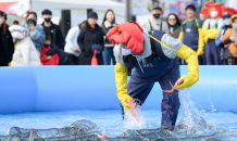 4년만의 오프라인 영덕대게축제, ‘북적’