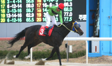 한국마사회 “1등급 경주마들의 1,400m 경주 지켜보세요”