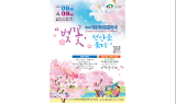 ‘천안위례벚꽃축제’ 4년 만에 정상 개최